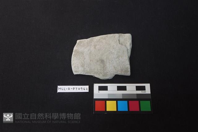 陶片藏品圖，第1張