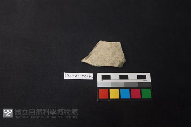 陶片藏品圖，第1張