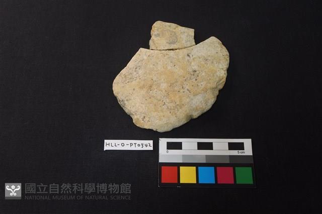 陶片藏品圖，第1張