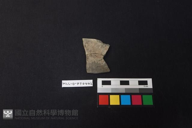 陶片藏品圖，第1張