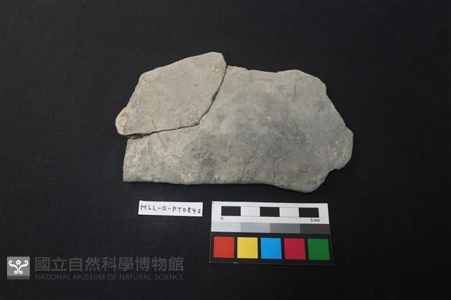 陶片藏品圖，第1張