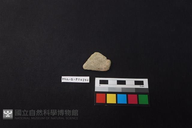 陶片藏品圖，第1張