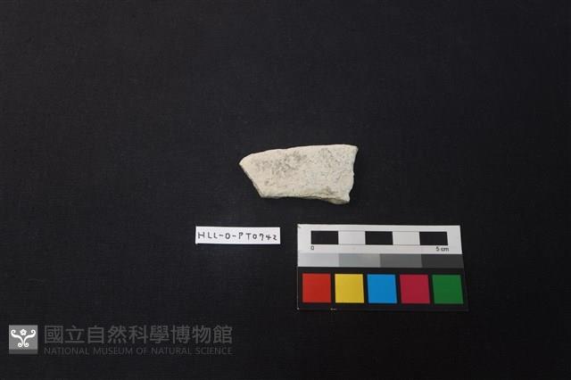 陶片藏品圖，第1張