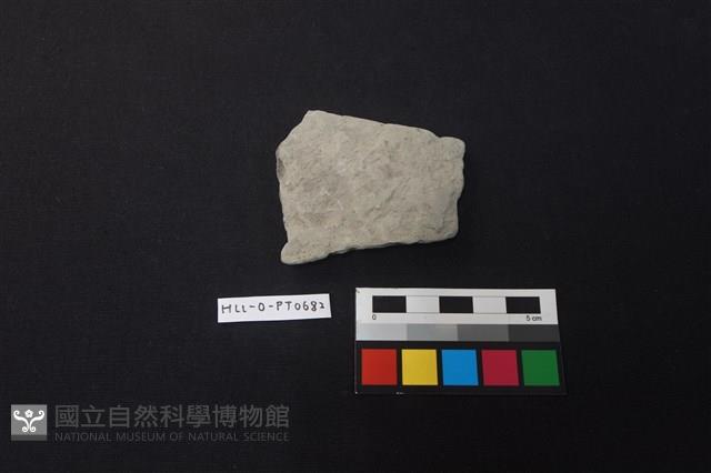 陶片藏品圖，第1張