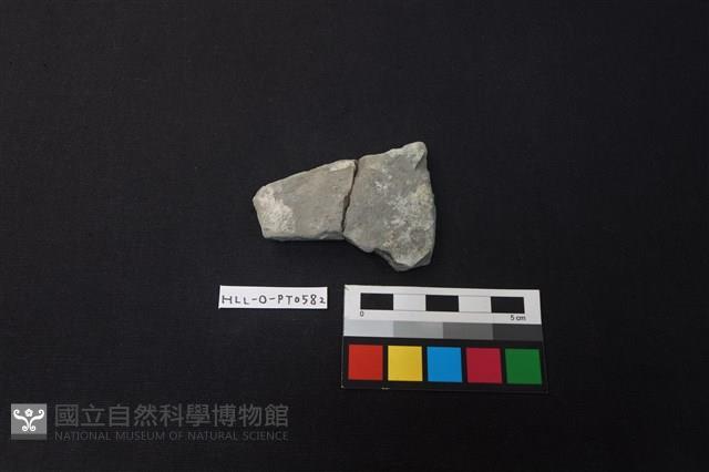 陶片藏品圖，第1張