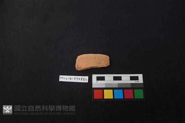 陶片藏品圖，第1張