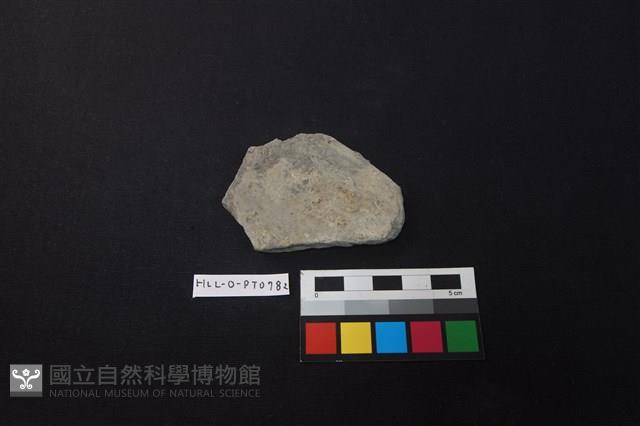 陶片藏品圖，第1張