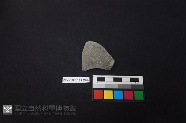 陶片藏品圖，第1張