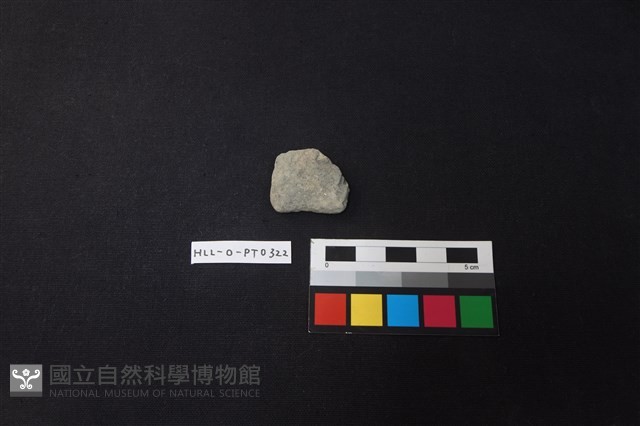 陶片藏品圖，第1張