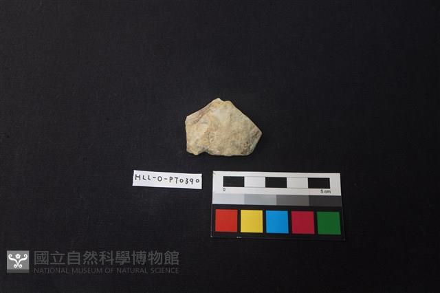 陶片藏品圖，第1張