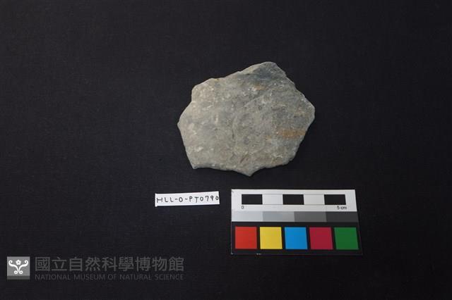 陶片藏品圖，第1張