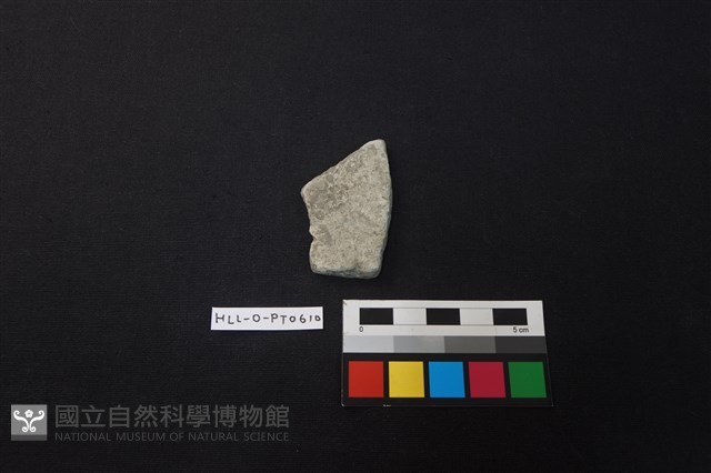 陶片藏品圖，第1張
