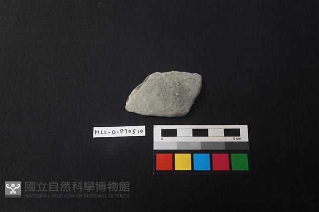 陶片藏品圖，第1張