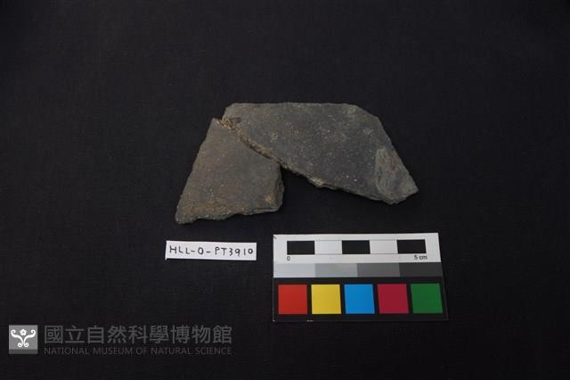 陶片藏品圖，第1張