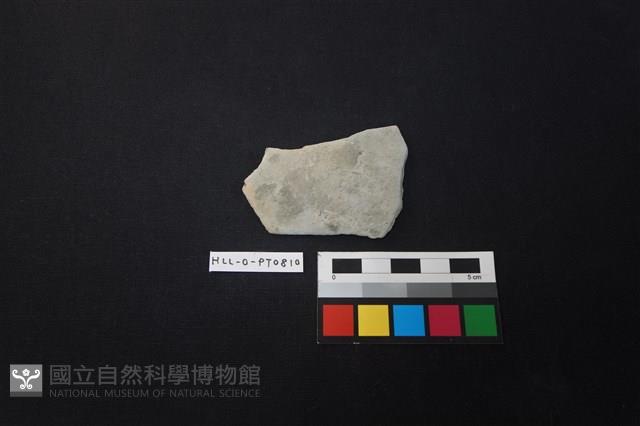 陶片藏品圖，第1張