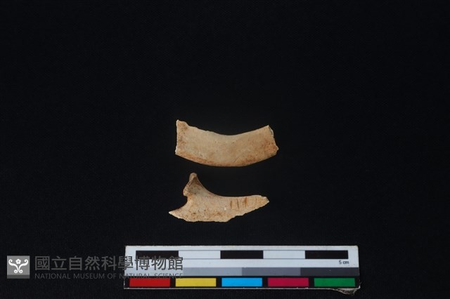 山羌骨藏品圖，第1張
