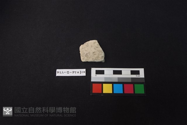 陶片藏品圖，第1張