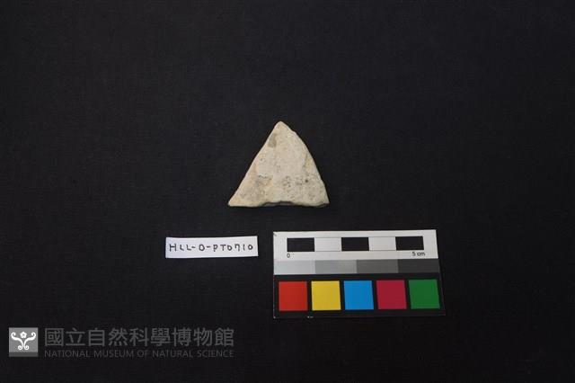 陶片藏品圖，第1張