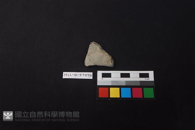 陶片藏品圖，第1張