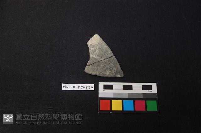 陶片藏品圖，第1張