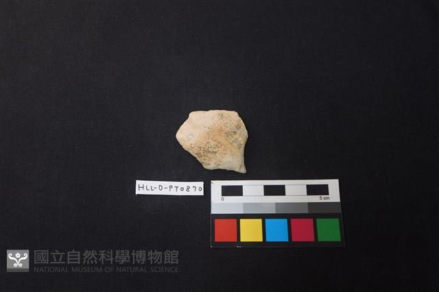 陶片藏品圖，第1張