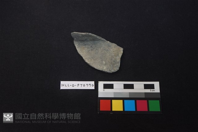 陶片藏品圖，第1張