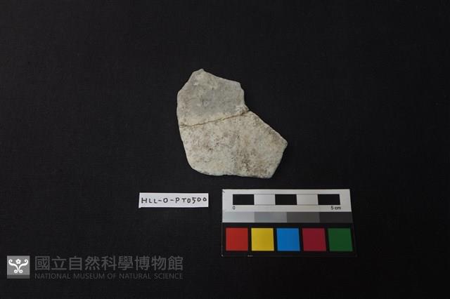 陶片藏品圖，第1張