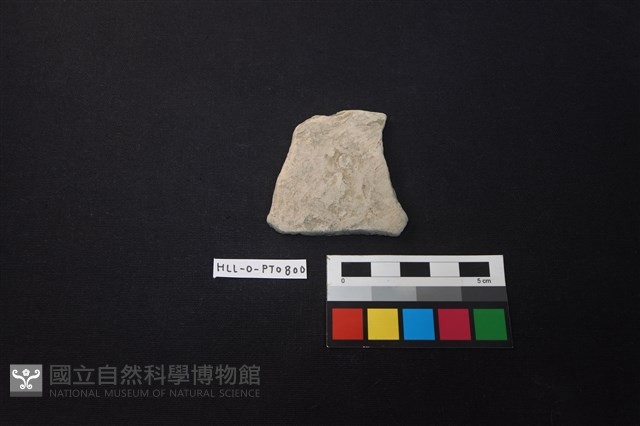 陶片藏品圖，第1張
