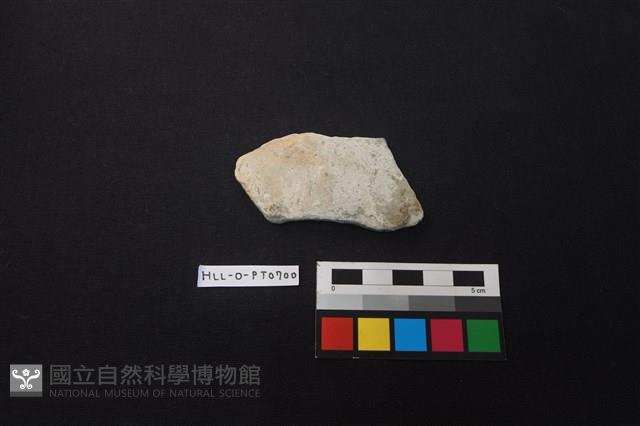 陶片藏品圖，第1張