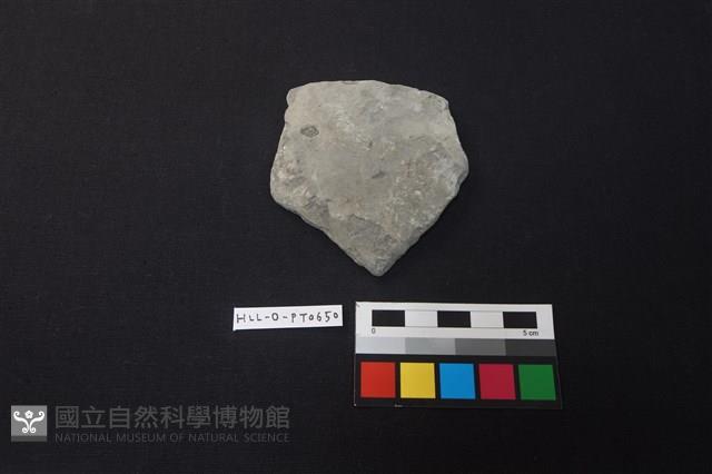 陶片藏品圖，第1張