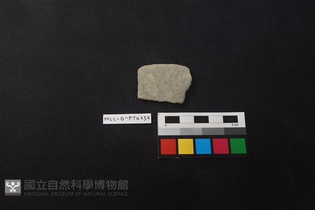陶片藏品圖，第1張