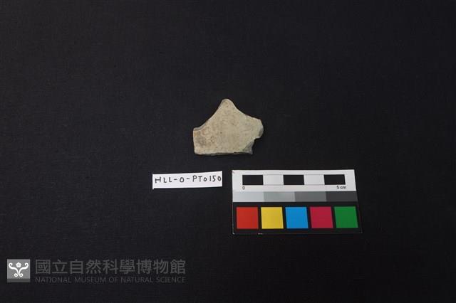 陶片藏品圖，第1張