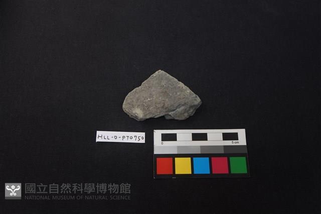 陶片藏品圖，第1張