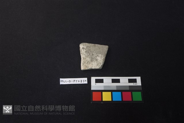 陶片藏品圖，第1張