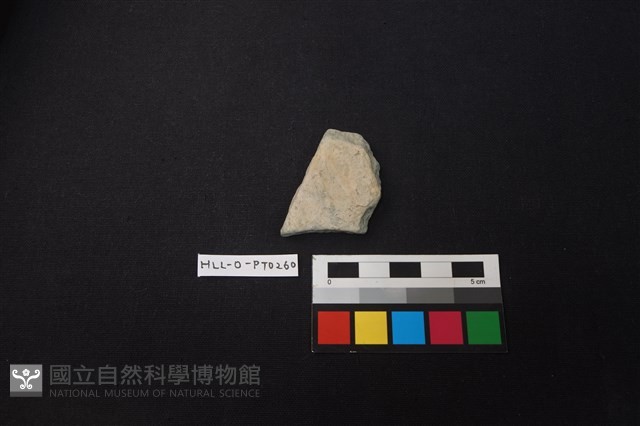 陶片藏品圖，第1張