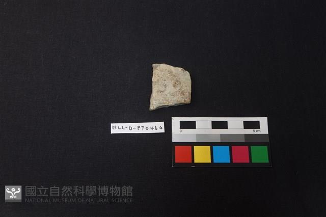 陶片藏品圖，第1張