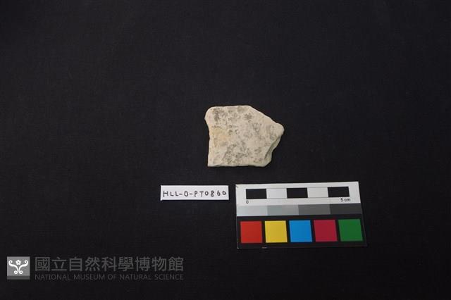 陶片藏品圖，第1張