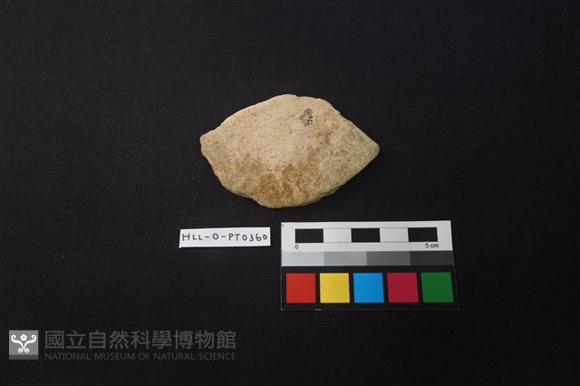 陶片藏品圖，第1張