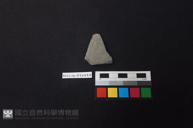 陶片藏品圖，第1張