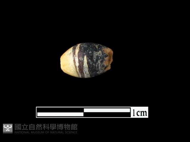 玻璃珠藏品圖，第1張