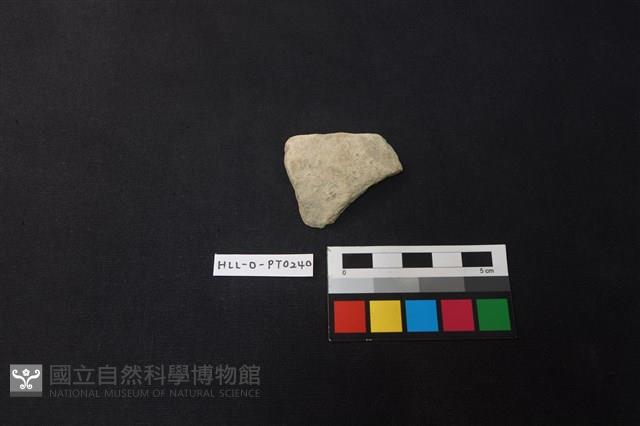 陶片藏品圖，第1張