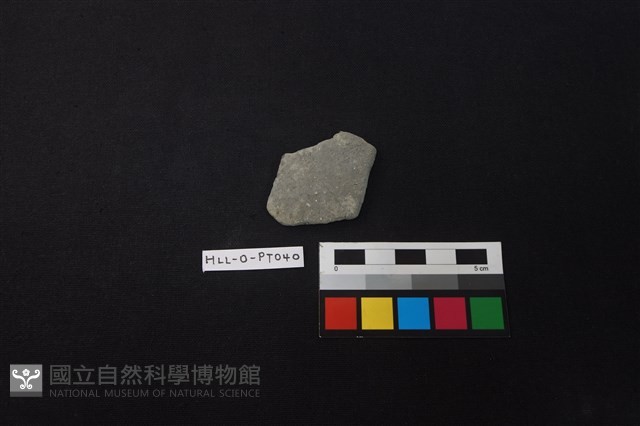 陶片藏品圖，第1張