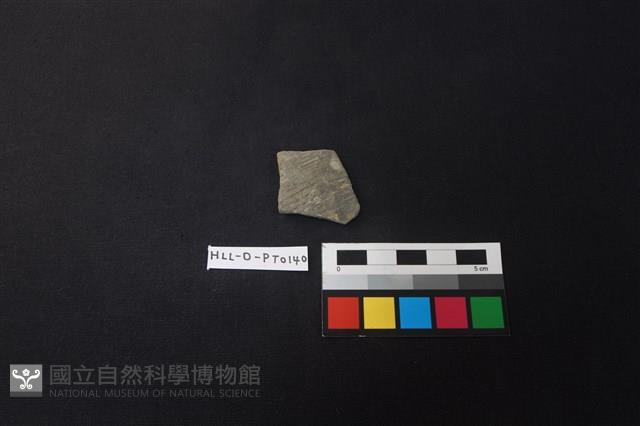 陶片藏品圖，第1張