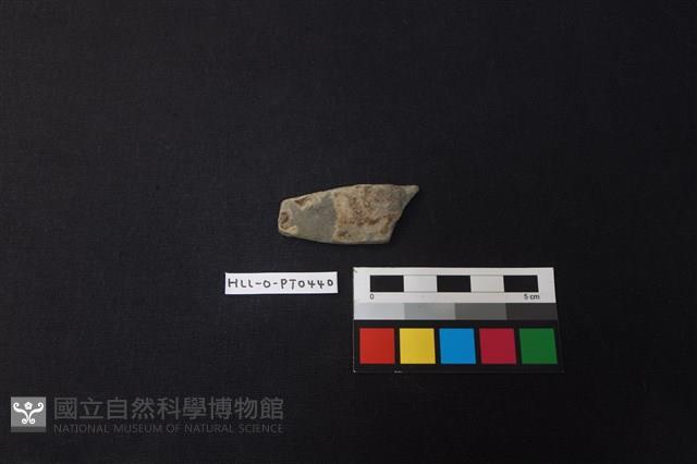 陶片藏品圖，第1張