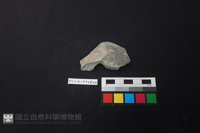 陶片藏品圖，第1張