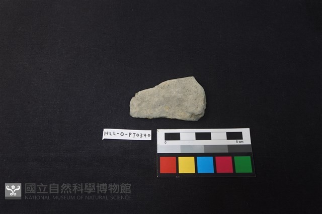 陶片藏品圖，第1張