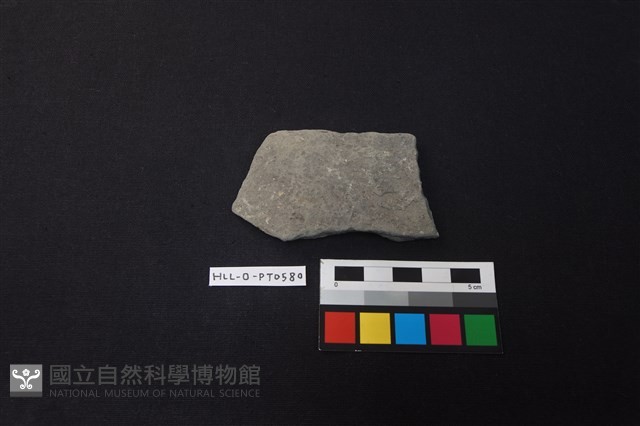 陶片藏品圖，第1張