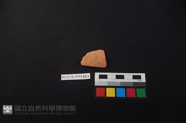陶片藏品圖，第1張