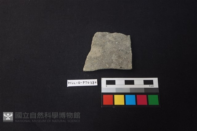 陶片藏品圖，第1張