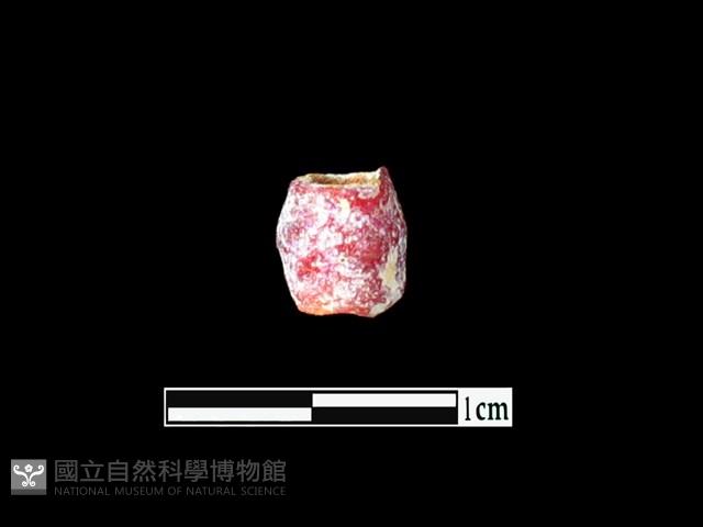 玻璃珠藏品圖，第1張